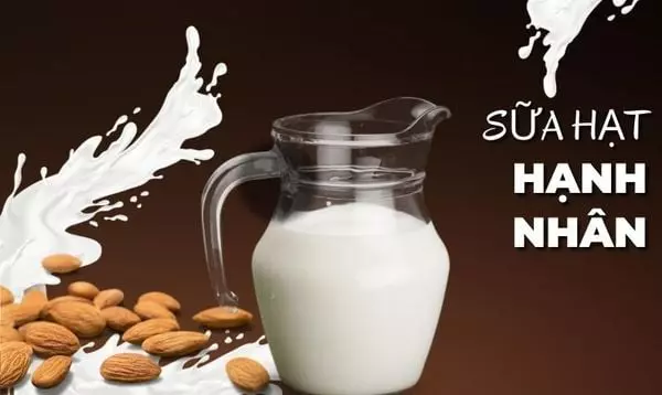 Các loại sữa hạt trên thị trường: Lựa chọn tuyệt vời cho sức khỏe