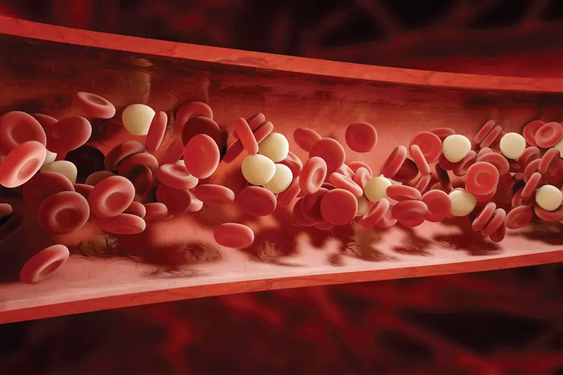 Các kháng thể được tạo ra trong thời kỳ người bệnh bị sốt xuất huyết có thể phá hủy một số lượng lớn các tiểu cầu, gây ra tình trạng thiếu hụt tiểu cầu trong máu