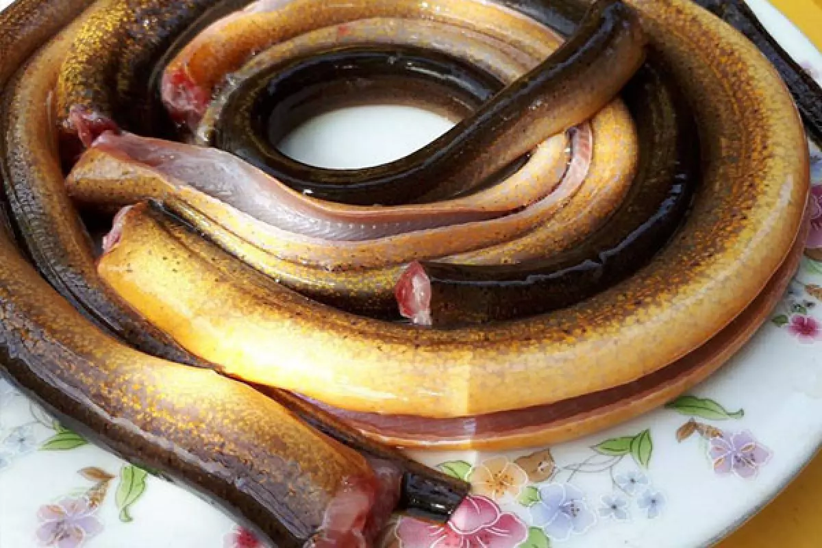 Lươn có thể chế biến thành nhiều món ăn ngon