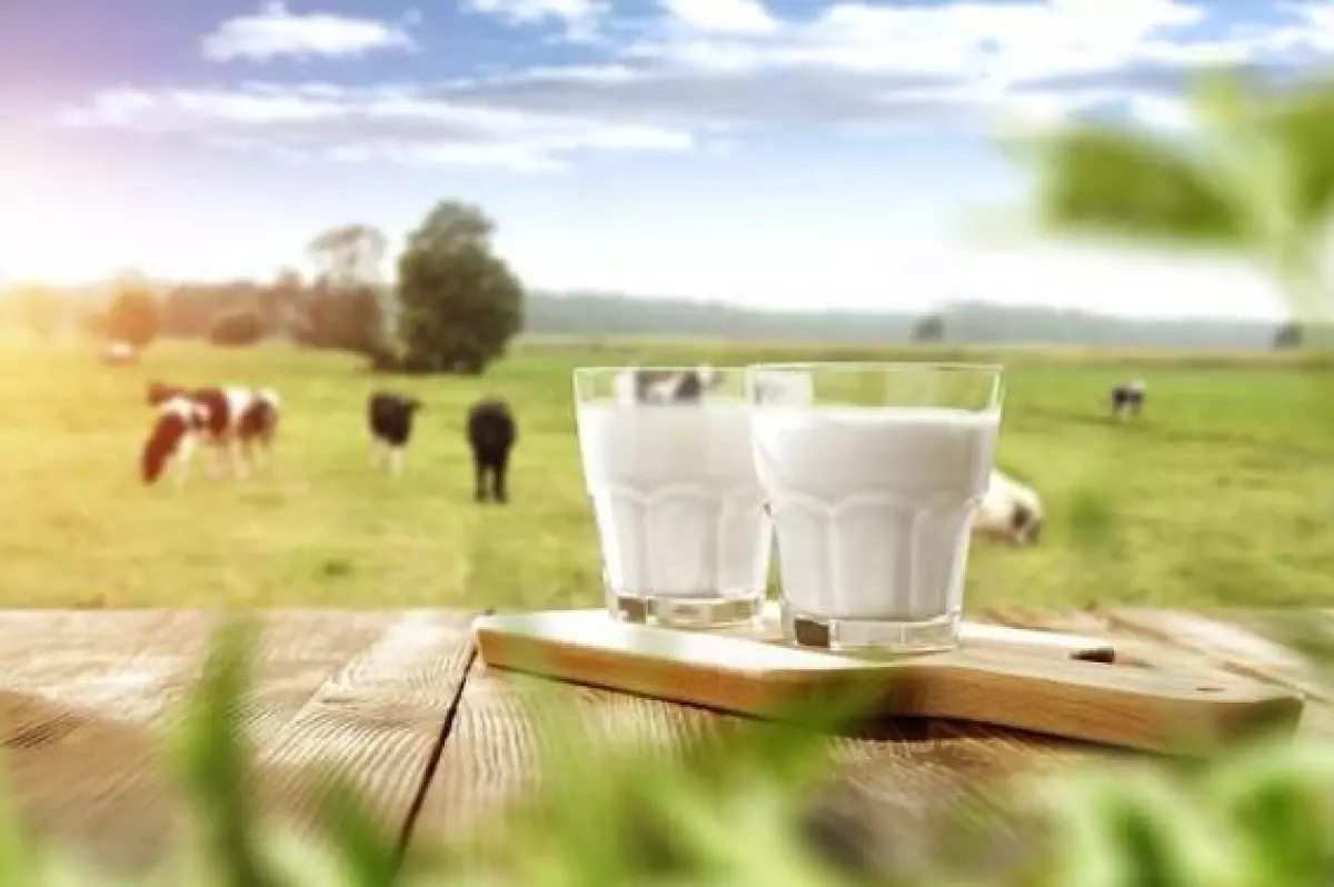 Sữa tươi organic là sản phẩm sữa tươi 100% từ thiên nhiên