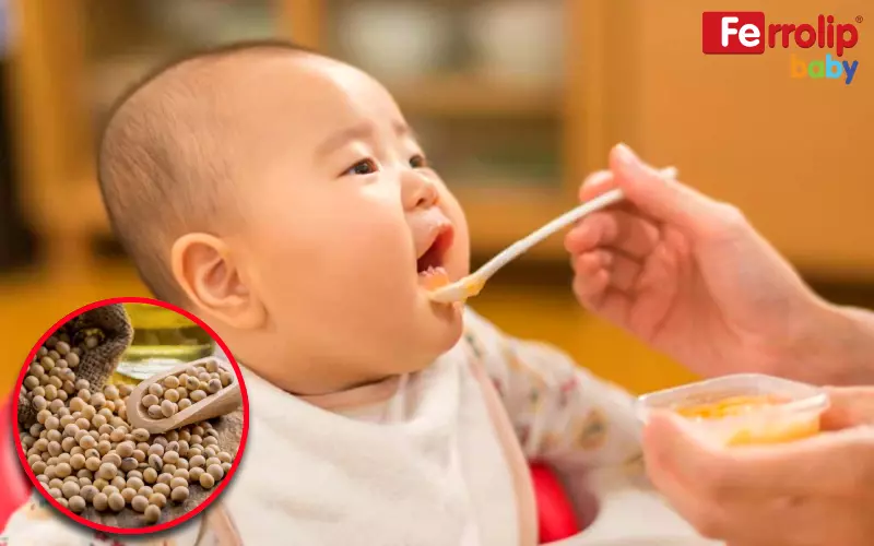 Dầu hạt đậu nành chứa nhiều chất dinh dưỡng cho bé