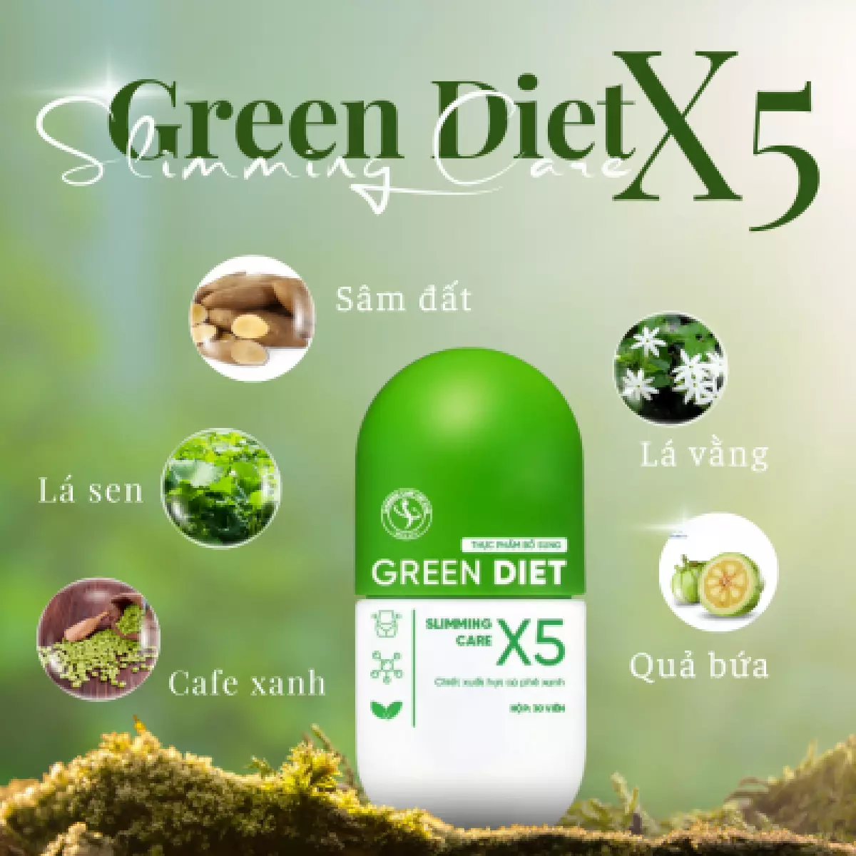 Thảo Mộc Giảm Cân Green Diet Slimming Care X5