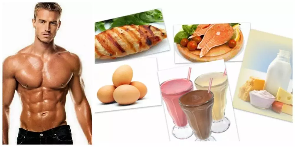 chức năng của protein là cung cấp năng lượng