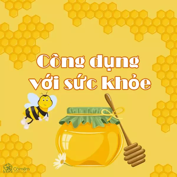 Sáp ong có nhiều công dụng với sức khỏe