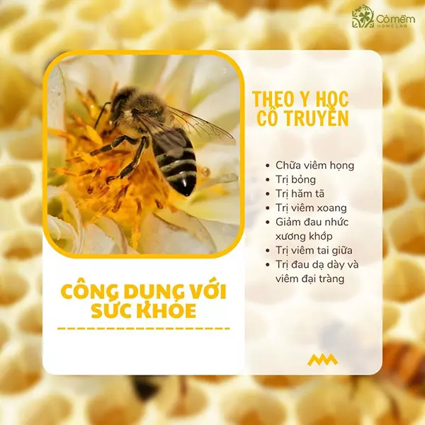 Một số công dụng của sáp ong theo y học cổ truyền