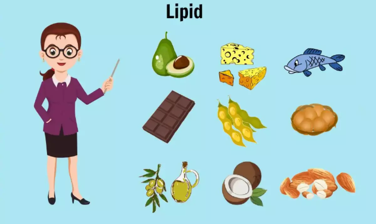 lipit - lipit là gì