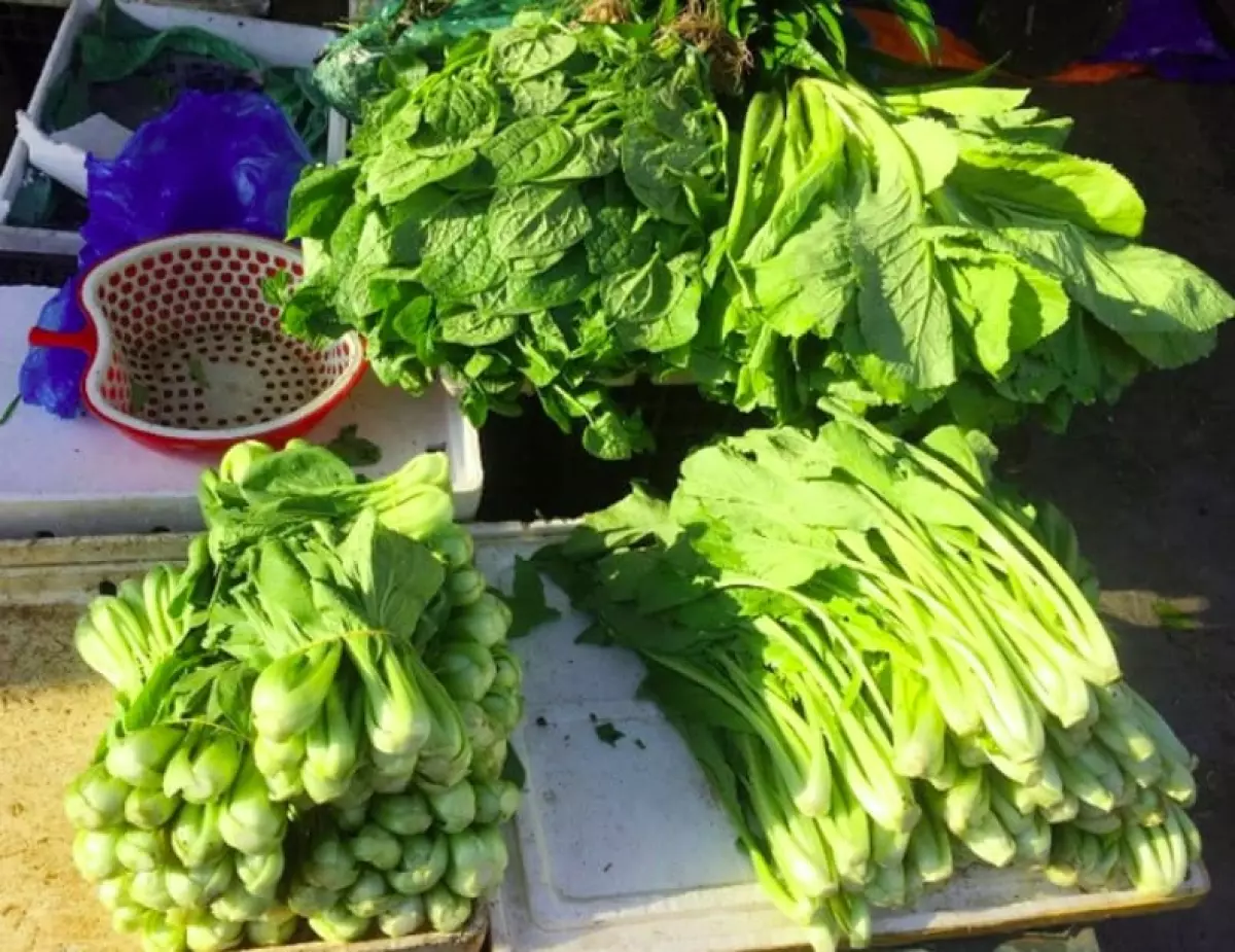 Hình ảnh rau cải các loại ở Việt Nam