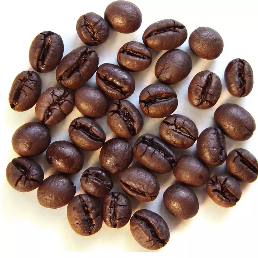 Culi thực chất là một dạng biến thể của hạt cà phê