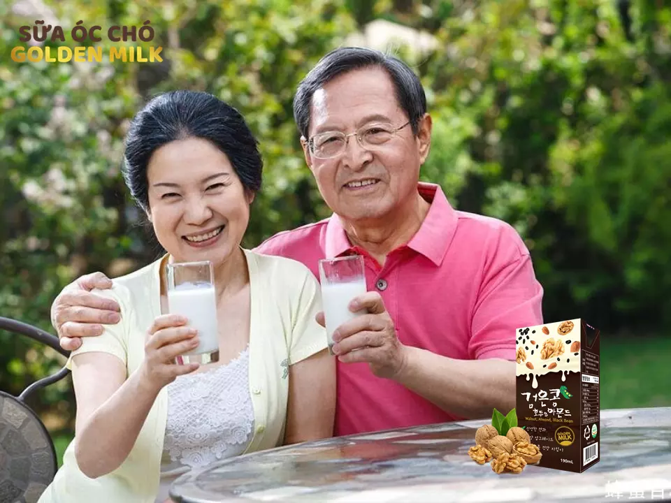 Sữa hạt ngũ cốc Hàn Quốc Golden Milk
