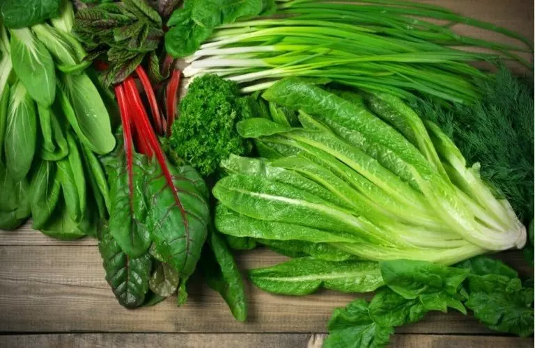Rau xanh lá bao gồm cải, rau chân vịt, xà lách, mồng tơi,...