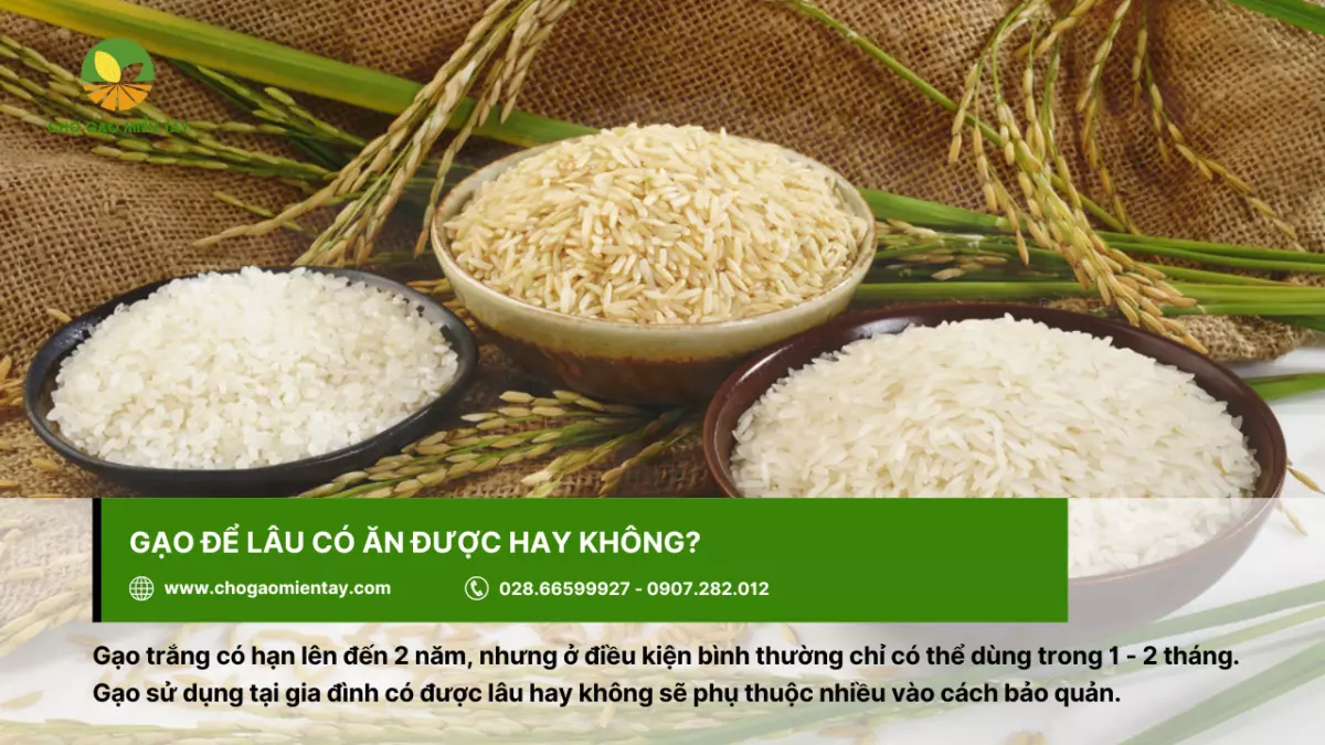 Gạo để lâu có ăn được không