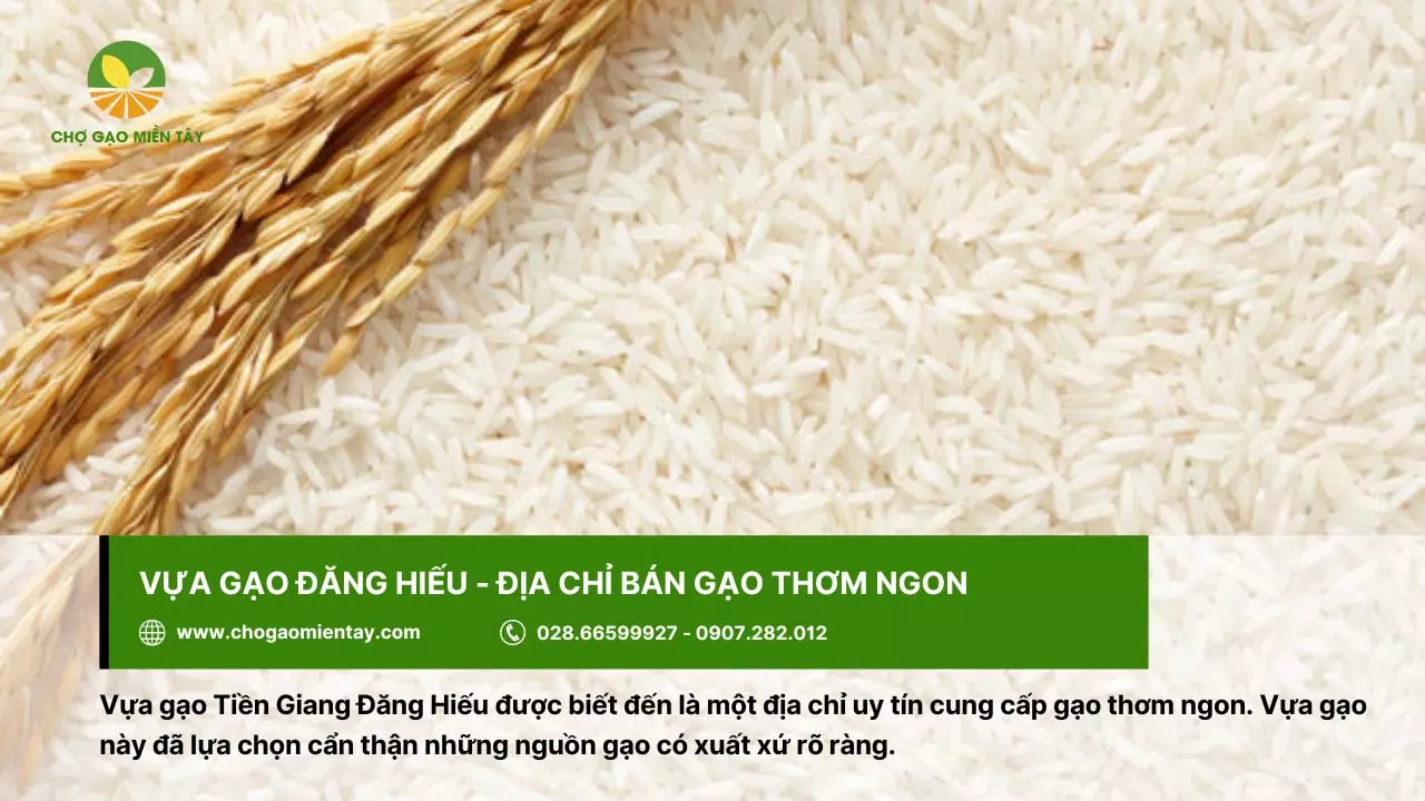 Mua gạo giá tốt ở vựa Tám Tèo - Tiền Giang