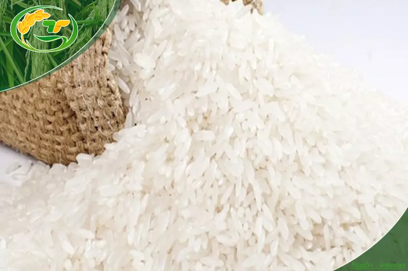 Mua gạo nở thông dụng tại Vựa gạo Thành Tâm