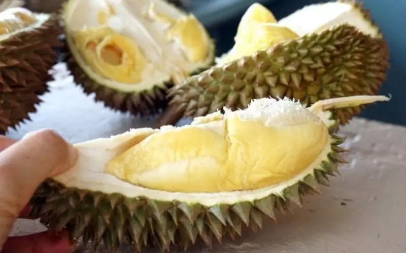 Ai tránh việc ăn sầu riêng?