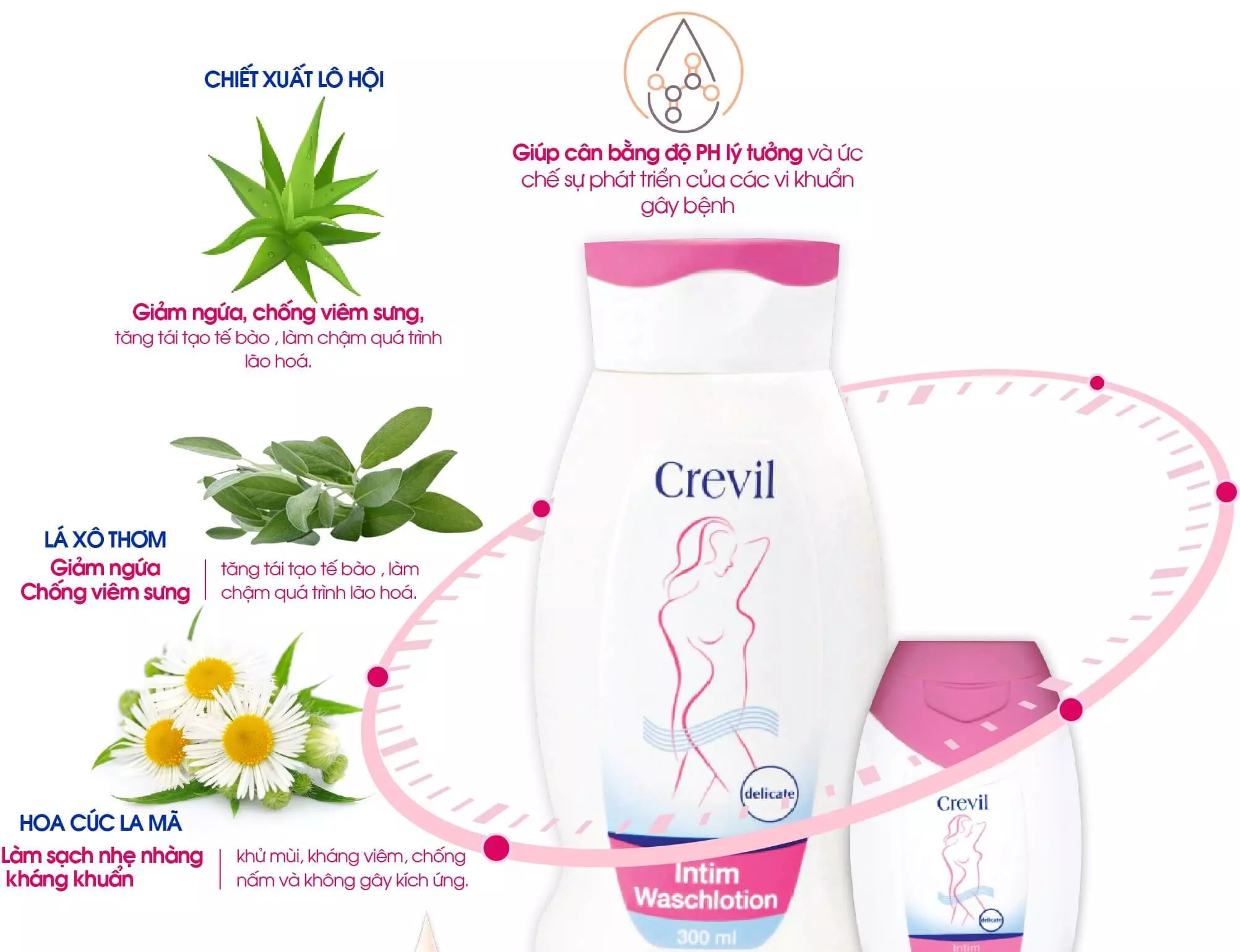 Thành phần hoạt chất của dung dịch vệ sinh phụ nữ Crevil