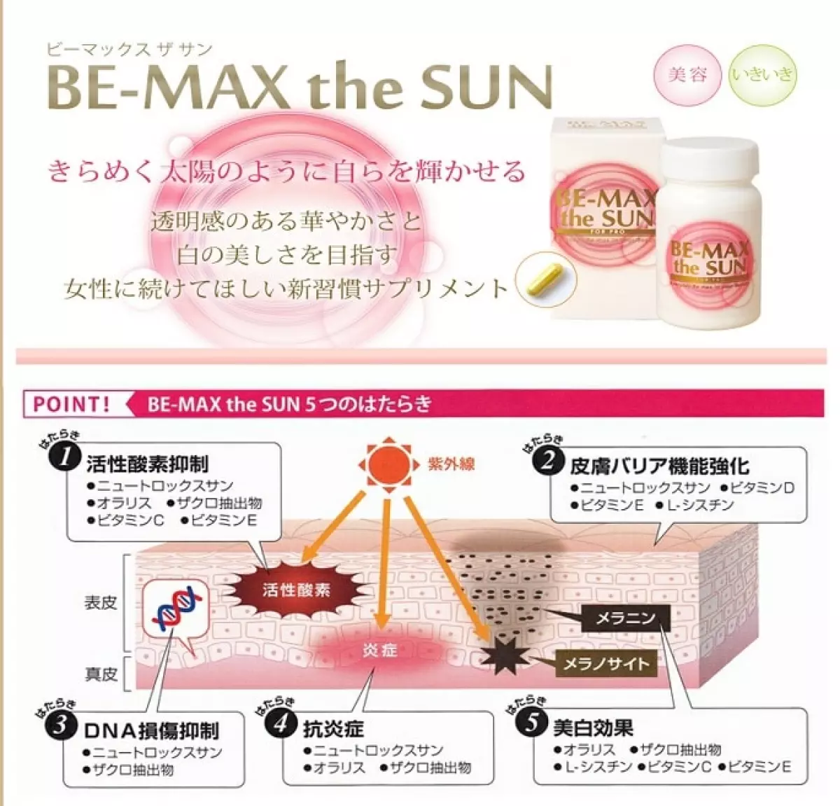 be-max the sun