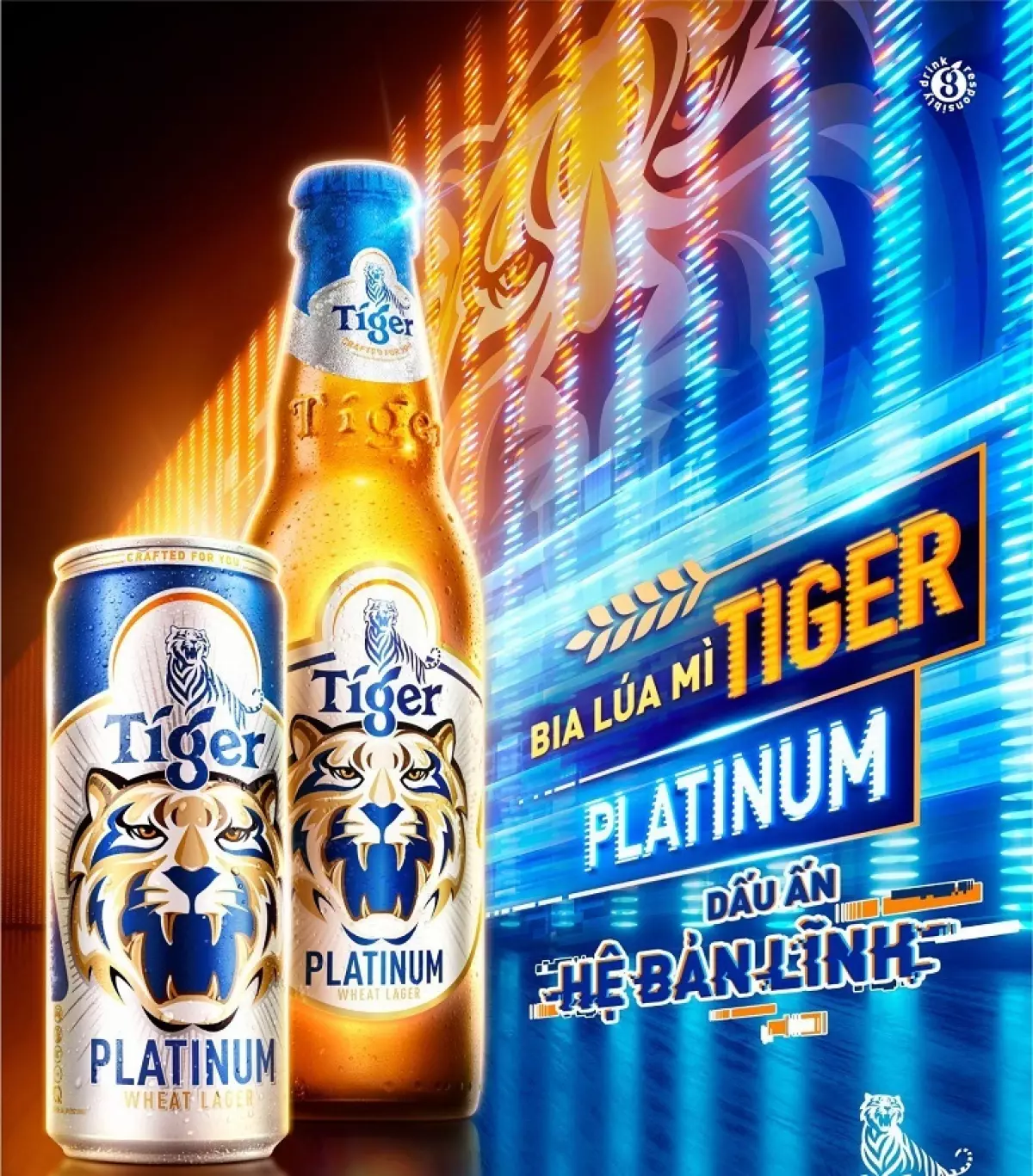 Review bia Tiger Platinum Wheat Lager về thiết kế, chủng loại