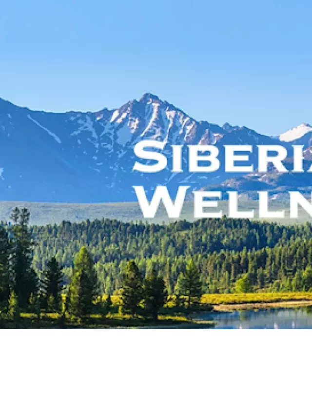   Thực phẩm chức năng Siberian Wellness - Sự lựa chọn hàng đầu cho sức khỏe
